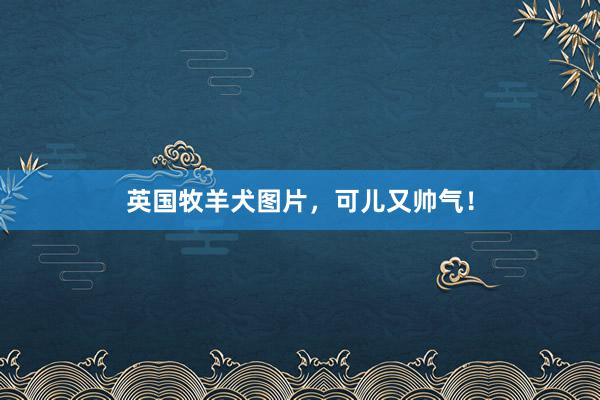 英国牧羊犬图片，可儿又帅气！