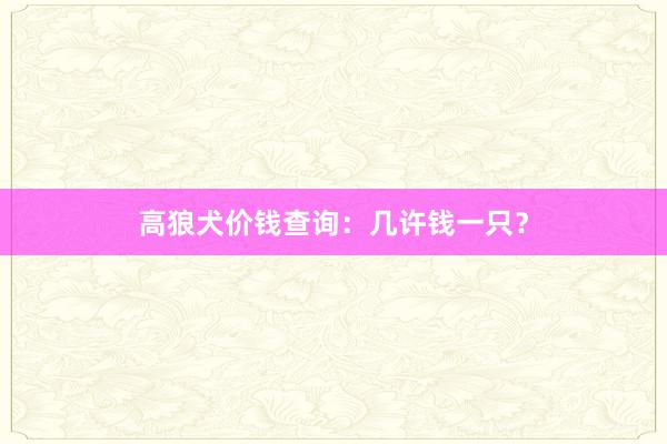 高狼犬价钱查询：几许钱一只？